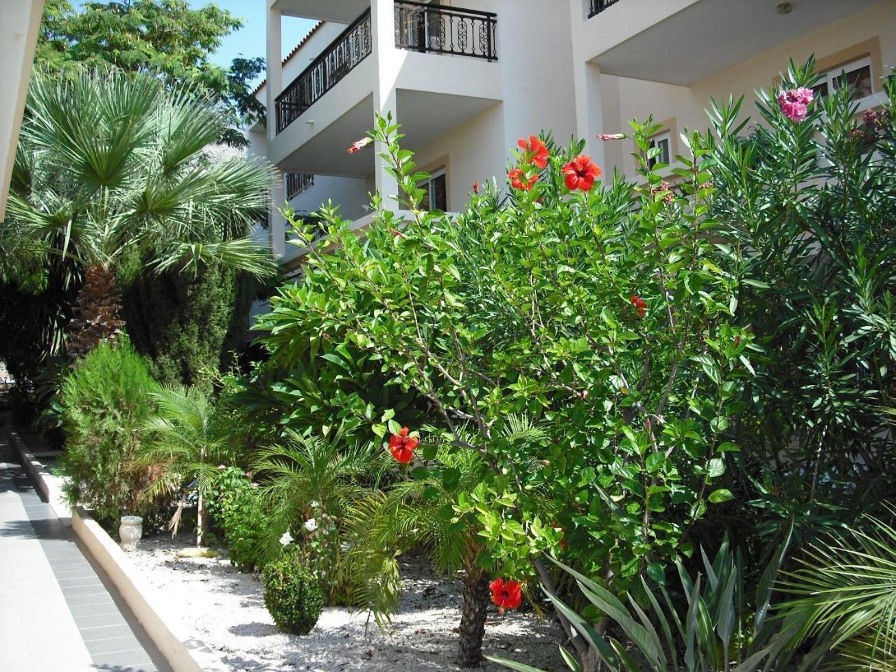 Summer Memories Aparthotel Pefki  Exterior photo